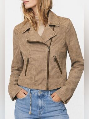 Evereve Women's Tan Bomber Jacket